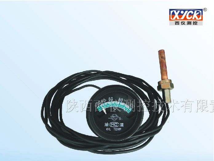 新疆油温表 水温表 WT-102
