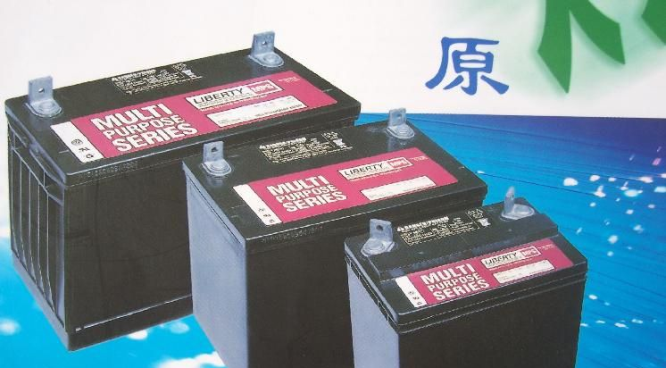 大力神蓄电池MPS12-50美国大力神蓄电池（权威认证产品）