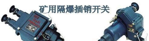 供应济宁德海牌BGK隔爆插销开关批发零售