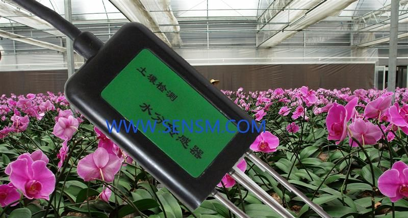 供应大棚土壤水分传感器，大棚土壤水分变送器，