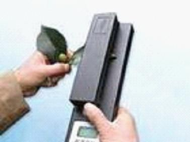 活体植物叶面积测量仪雷伯特品牌直销价格现货