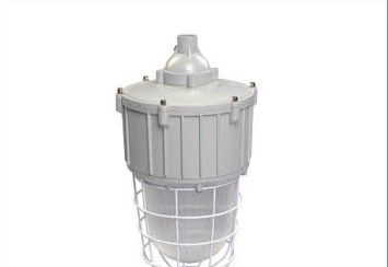 隔爆型防爆灯，防爆白炽灯，防爆节能灯IIC