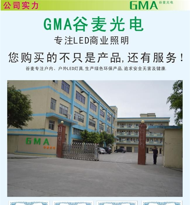 供应高效节能 LED环保球泡灯 大功率球泡 LED灯泡 LED球泡灯批发