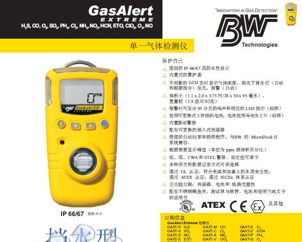 加拿大BW GAXT-G臭氧检测仪一级代理