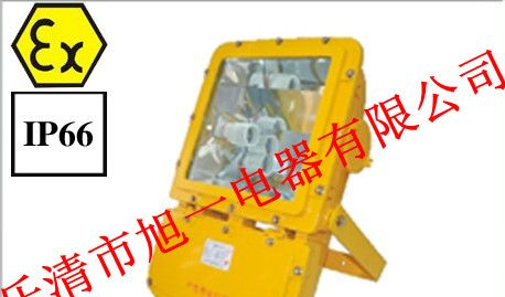 供应BFC8110/HN防爆泛光灯