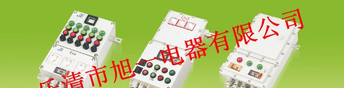 供应BXK防爆控制箱