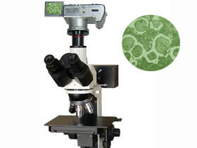 供应三目倒置型金相显微镜MM-2
