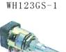供应Ф12型绝缘轴、金属轴碳膜电位器	WH123GS-1