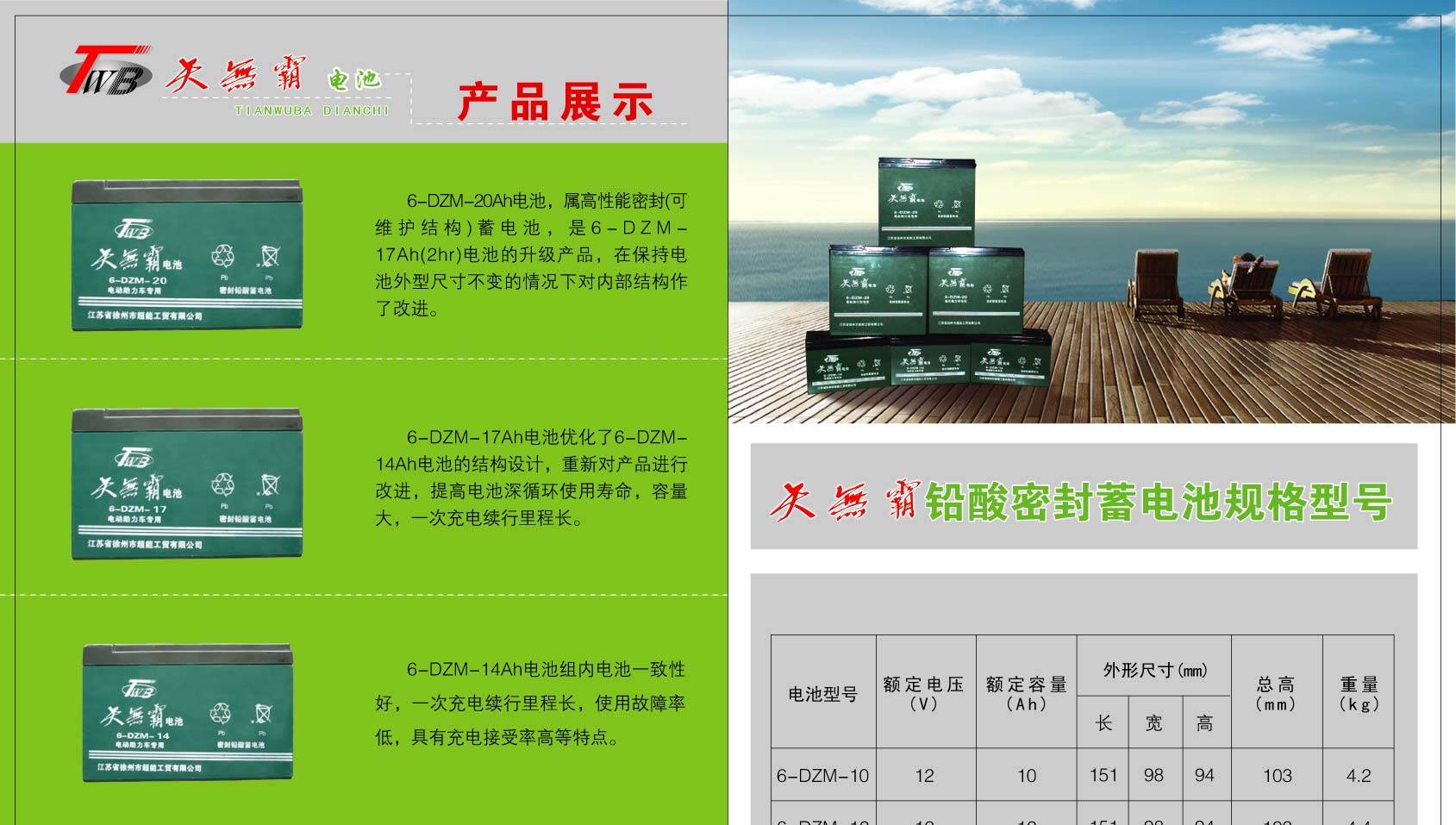 超级动力—天无霸电动车电池