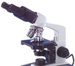 供应简易偏光显微镜BM-11