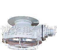 BAX51-100，增安型防爆吸顶灯，防爆灯