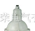FAD，防水防尘防腐灯，防爆灯，隔爆型防爆灯