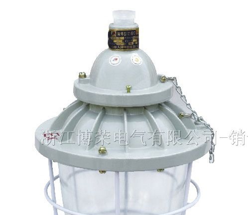 BAD56，Bcd，防爆灯，隔爆型防爆灯，增安型