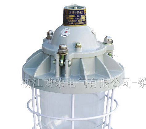 BAD53，防爆灯，隔爆型防爆灯，增安型