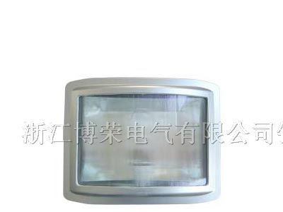 供应NSC9720  NSC9720/H，防眩通路灯，防眩通路灯