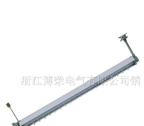 供应BAY51，BPY，防爆荧光灯,2,20,36,40,1