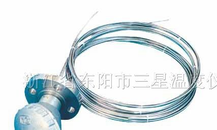 WZP、WRN系列PT100铠装热电阻、热电偶、温度传感器09