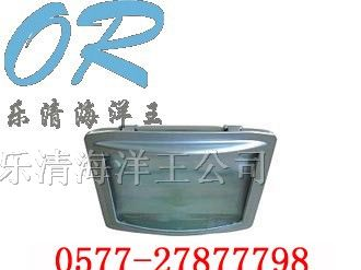 供应海洋王灯具，NSE9720 防眩应急通路灯 NSE9720
