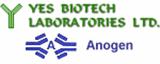 Yes Biotech
