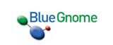 Blue Gnome