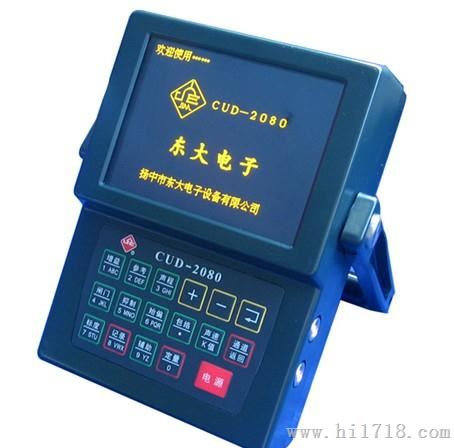 东大CUD2080声检测仪 声波探伤仪