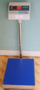供应电子秤 耀华电子秤(图)