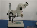 解剖显微镜