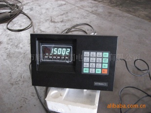 供应地上衡，称重显示仪表，上海耀华，KX3190，广东佛山