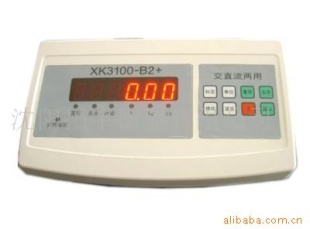 供应XK3100-B2+称重显示器