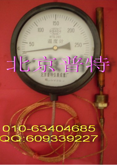 压力式温度计WTZ280压力式温度计