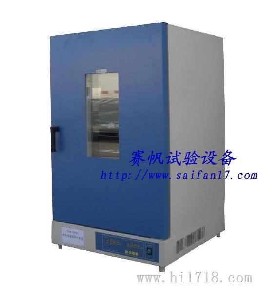 杭州经济型/小型电热恒温烘箱/鼓风干燥箱