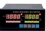 XMBA-9000智能双输入显示调节仪