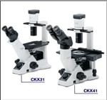 CKX31/41倒置显微镜