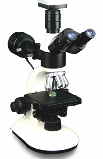 DM1200金相显微镜