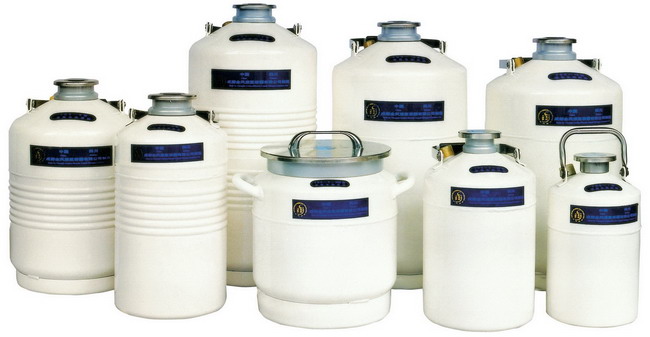 贮存型液氮罐YDS-6