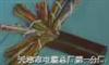 全塑通信电缆ZR-HYA 天津市电缆总厂分厂