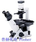 奥林巴斯倒置显微镜 CKX31显微镜 奥林巴斯CKX31