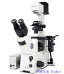 奥林巴斯研究级倒置显微镜IX71 1X71显微镜