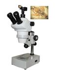 立体显微镜 ZOOM-380