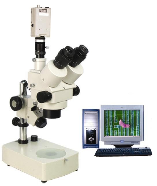 立体显微镜 ZOOM-630P