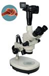 立体显微镜 ZOOM-640