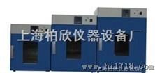 DHG-9240A立式250度上海电热恒温鼓风干燥箱
