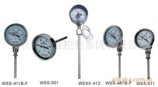 天长三维控制生产WSS系列双金属温度计
