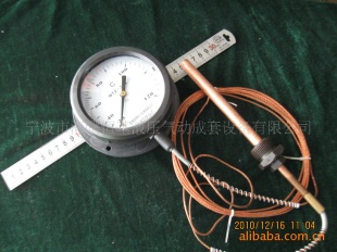 供应压力式指示温度计WTQ-280型