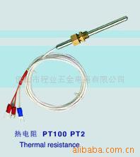 供应热电阻pt100(图)