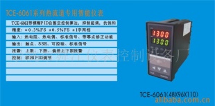 供应TCE-6061流道热模糊控制仪表