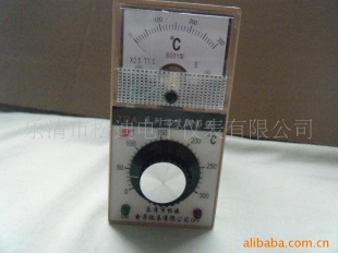 供应TDA-8001,8002指针式温度仪表