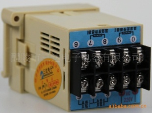 DWS-23T-5 温湿度控制器 网络控制器