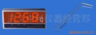 供应W600大屏幕熔炼测温仪、钢水测温仪