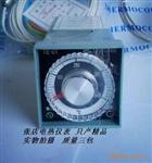 指针温控仪TE-01 E型 0-400度
